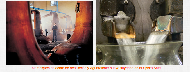 cata whisky